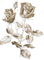 soave deco rose branch vintage sepia - Free PNG