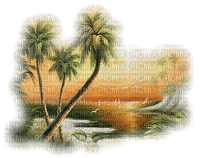 tropical trees bp - 免费PNG