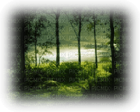 bosque - ücretsiz png