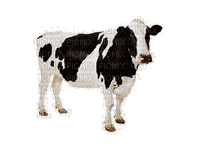cow - GIF animate gratis