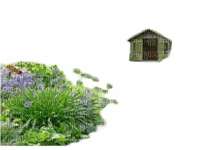parte di giardino con capanno per attrezzi - PNG gratuit