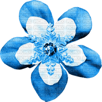 Snowflake.Flower.White.Blue - Free PNG