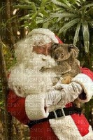 Christmas in Australia bp - nemokama png