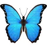 blue butterfly - ingyenes png