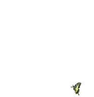 buom 2 - Ingyenes animált GIF