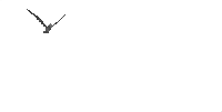 passaro - Бесплатный анимированный гифка