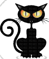 cat chat katze gif halloween black - Animovaný GIF zadarmo