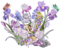 violete - GIF animado grátis