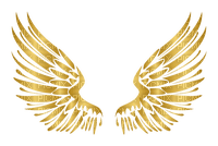 wings Bb2 - png gratuito