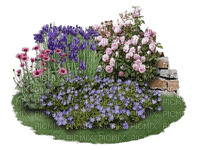 garden plant - 免费PNG
