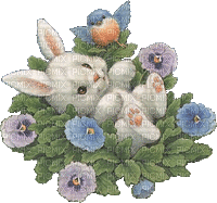 Bunny and Bird in Flowers - Free animated GIF