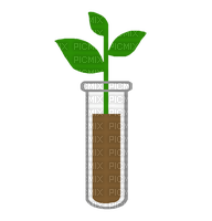 Plante plant terre dirt tube