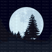 Background Magic Moon - Animovaný GIF zadarmo