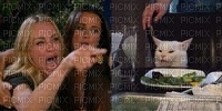 Woman yelling at cat meme - gratis png