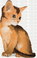 chat roux - 無料のアニメーション GIF