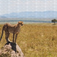 Africa background bp - 免费PNG