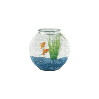 fishbowl frutiger aero - 免费PNG