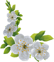 Spring Blossom  Frame - безплатен png