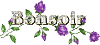 text bonsoir gif fleur - Бесплатный анимированный гифка