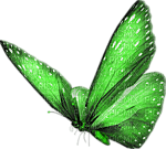 motte grün green - 免费PNG