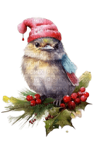 Рождественская птица - png gratis