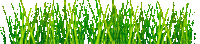 Grass.pâturage.Victoriabea - Free animated GIF