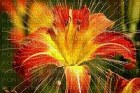 fleur - 免费PNG