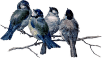 Птицы.Акварель - PNG gratuit