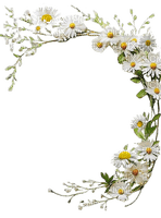 Daisies.Marguerites.Frame.Victoriabea - nemokama png