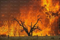 fire background bp - png gratuito