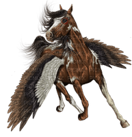 American Indian horse bp - ücretsiz png