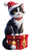katze, cat, christmas - PNG gratuit