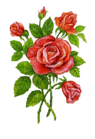 vintage roses - PNG gratuit
