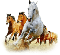 soave animals horse deco brown white - безплатен png