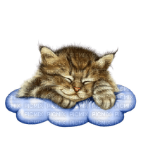 VanessaVallo _crea- kitty sleep - Free PNG