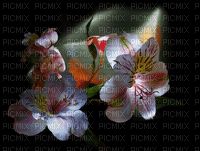 Flores - Gratis animeret GIF