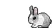 Bunny - Animovaný GIF zadarmo