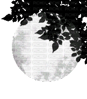 Луна - Bezmaksas animēts GIF