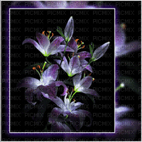 flickering lillies - Δωρεάν κινούμενο GIF