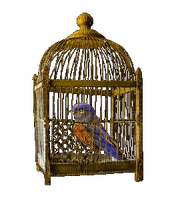 cage-bird - png ฟรี