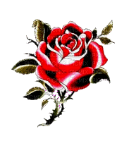 róża - GIF animé gratuit
