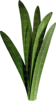 minou-Leaves-löv-blad - png gratis