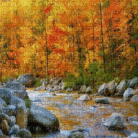 river forest wald fluss paysage landscape flux  forêt  autumn automne herbst fond background hintergrund     gif anime animated animation