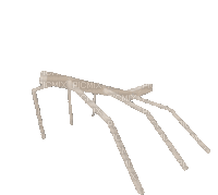get stickbugged - Ücretsiz animasyonlu GIF
