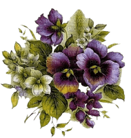 Violettes  Miriella - бесплатно png