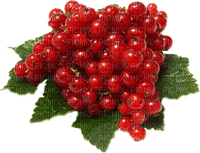 redcurrant Bb2 - 無料png