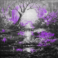 soave forest animated fantasy black white purple