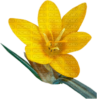 Kaz_Creations Deco Flowers Flower Yellow - png gratuito