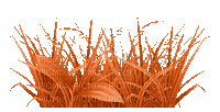 Kaz_Creations Deco Orange Grass Colours - Darmowy animowany GIF