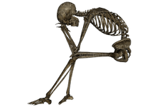 skeleton bp - png ฟรี
